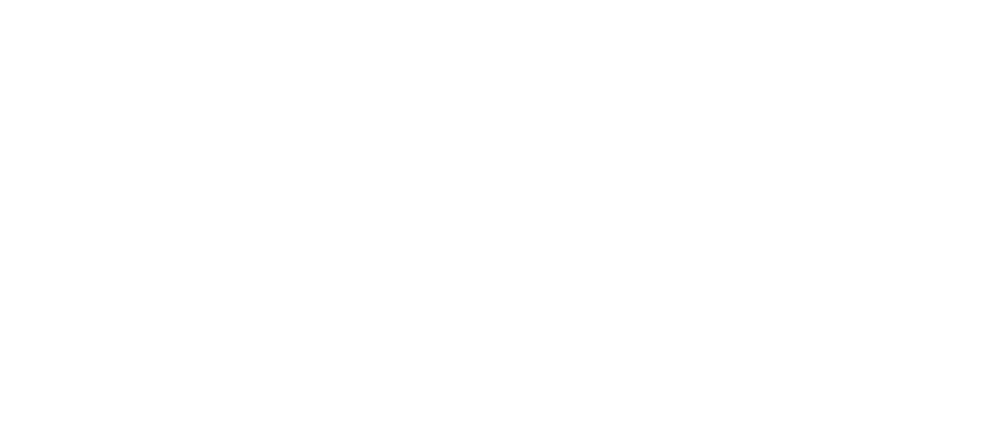 Svin Studio